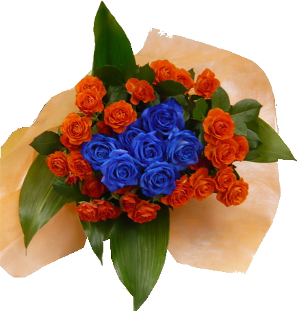 ����ԁ@���ԉԑ�/�u���[���[�Y�ƃI�����W�o���̉ԑ�